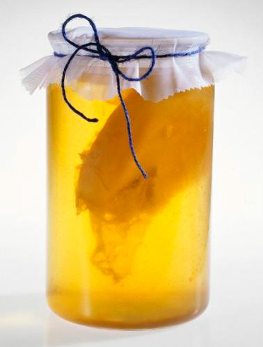 kombucha en pot