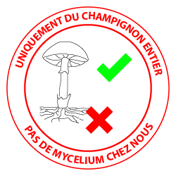 pas de mycelium